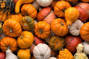 Co&nbsp;warto jeść jesienią, by&nbsp;wspomóc odporność