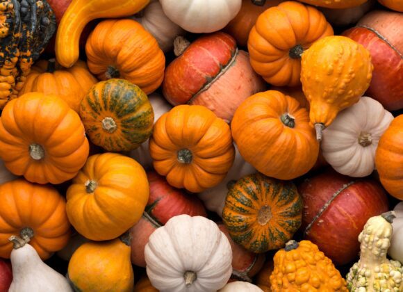 Co warto jeść jesienią, by wspomóc odporność FaD – banery (artykuły) (5)