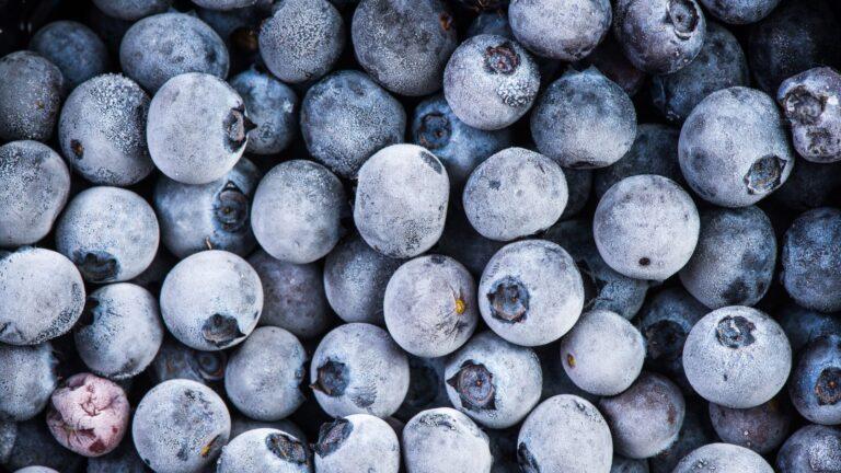 FOOD AND DESIGN - zdjęcia do artykułów (7)