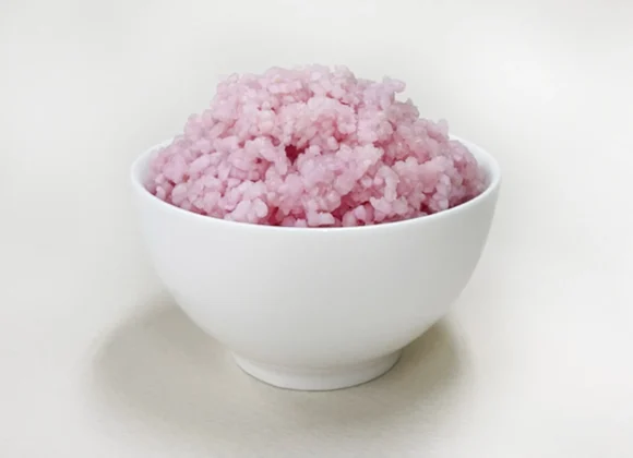 b-cultured-beef-rice-yonsei-university-design_dezeen_1704