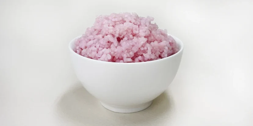 Hybrydowy „ryż wołowy” jako przyszła alternatywa dla mięsa b-cultured-beef-rice-yonsei-university-design_dezeen_1704