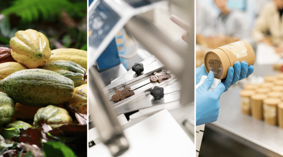 Produkcja czekolady vs. społeczna odpowiedzialność biznesu