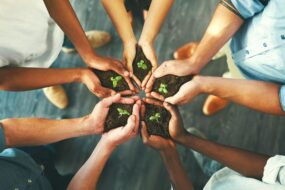 Dzień Ziemi – działania CSR marek spożywczych