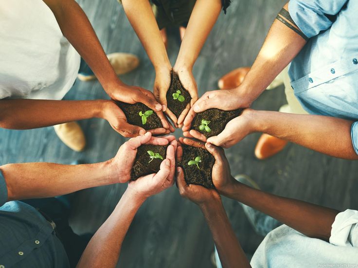 Dzień Ziemi – działania CSR marek spożywczych