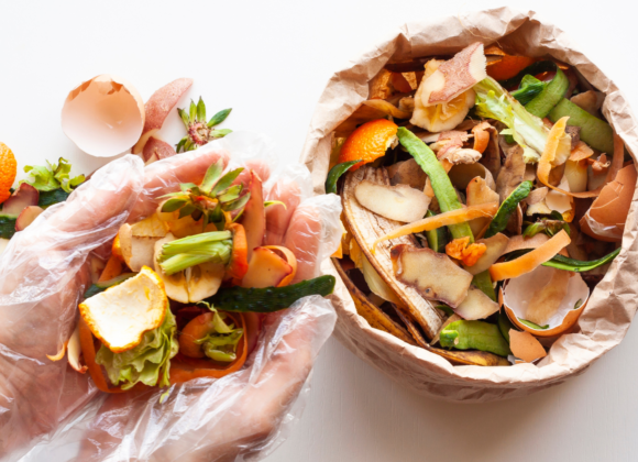 Marnowanie żywności w 2024. Czy ten problem wciąż nas dotyczy? Marnowanie żywności