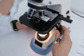 Właściwości technologiczne bakterii kwasu mlekowego