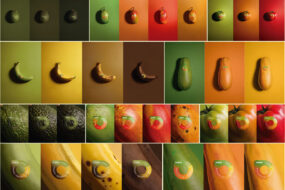 Kolorowe naklejki na&nbsp;żywność, czyli MAKRO kontra marnowanie żywności! 