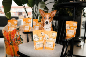 5. edycja Kawy Kundelkowej: kawa, która&nbsp;wspiera psy w&nbsp;schroniskach