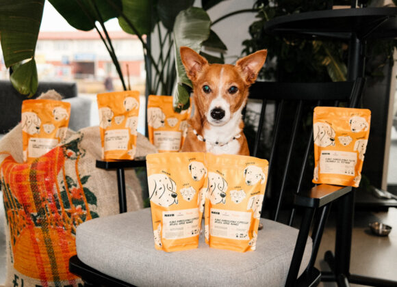 Kawa Kundelkowa_HAYB_fot.Grzegorz Sipiora