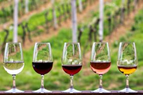 Sztuka degustacji wina. Jak rozpoznać aromaty i&nbsp;smaki?