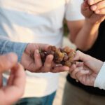 Spotkanie dwóch światów – owoc, pasja i… beczka po winie 2025.01.06-25