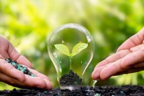 Polacy coraz mniej zainteresowani zmianą klimatu – wyniki badania Flora Food Group