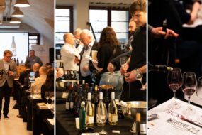 Za&nbsp;nami Lodi Wine Adventure!