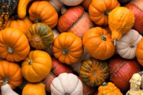 Zaplanuj komunikację na&nbsp;jesień z&nbsp;wyprzedzeniem!