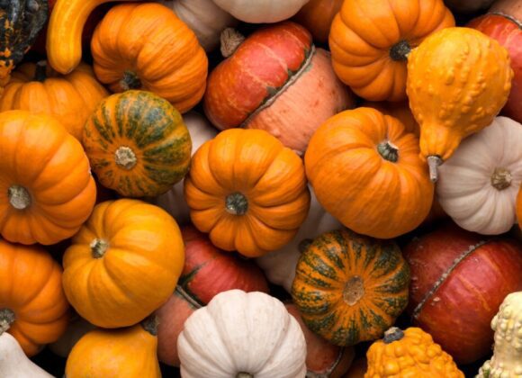 Zaplanuj komunikację na jesień z wyprzedzeniem! www - fad-20