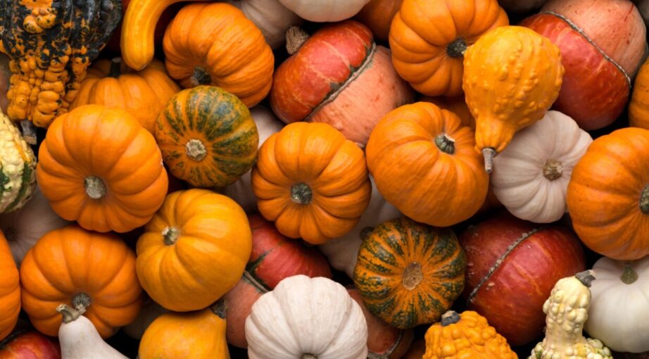 Zaplanuj komunikację na&nbsp;jesień z&nbsp;wyprzedzeniem!