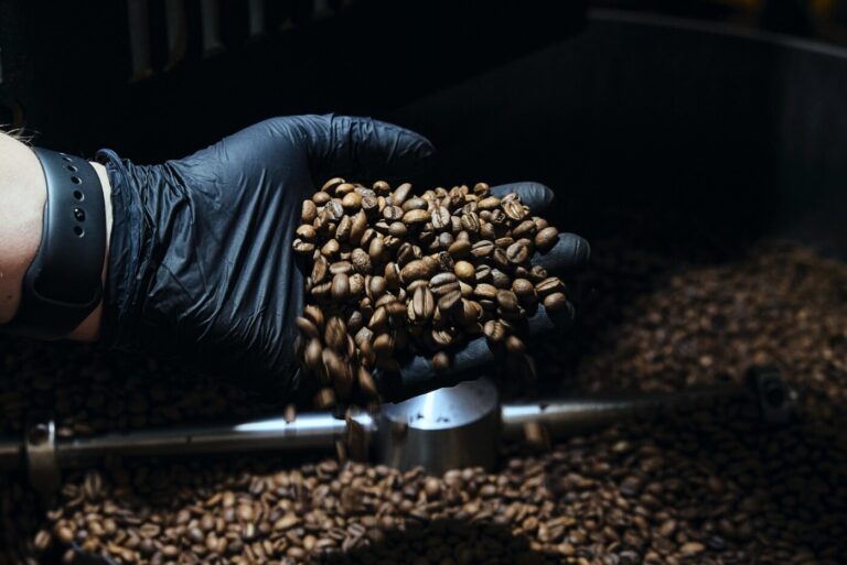 COFFEEE PLANT_Palarnia kawy specialty (1)