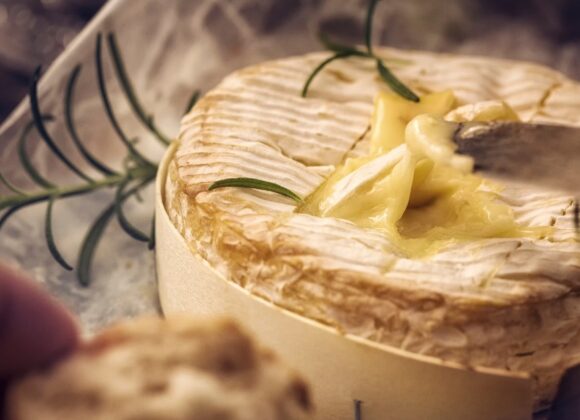 FOOD AND DESIGN - LINKEDIN