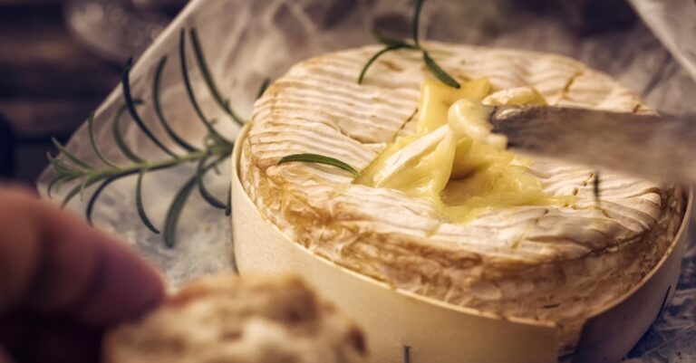 FOOD AND DESIGN - LINKEDIN