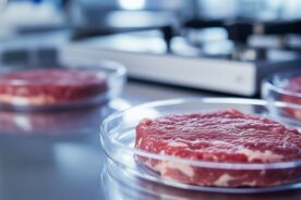 Czy&nbsp;będziemy jeść mięso z&nbsp;laboratorium? Rynek cell-based food przyspiesza