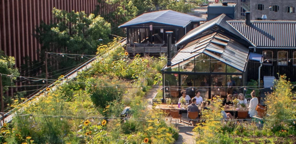 Jak Kopenhaska restauracja połączyła architekturę, rolnictwo i&nbsp;gastronomię?