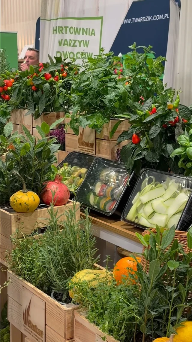 Dnia 6 października @ptak_warsaw_expo znów zamieniło się w miejsce spotkania branży gastronomicznej.@kongres_szefow_i_restauratorow to dzień pełen rozmów, wymiany doświadczeń, debat i spotkań z ludźmi, którzy na co dzień tworzą polską gastronomię. W tym roku wydarzenie odbywało się na dwóch scenach - Szef Kuchni i Gastronomia - a obok programu merytorycznego nie zabrakło też strefy wystawców i networkingu. Kongres Szefów Kuchni i RestauratorówMy oczywiście zajrzałyśmy tam z kamerą. 🎥Na rolce znajdziecie kilka momentów z tegorocznej edycji, w tym marki, które spotkałyśmy na miejscu:@rational_ag @Perinopastafresca @twardzikspj @bonduelle_polska @knorrpolska @kitkatpolska @morliny_polska @gourmetfoodspolska @saquellapolska @dilmahpolska @fanex_sosy👉 Zobaczcie naszą relację z Kongresu Szefów Kuchni 2026.#FoodAndDesign #KongresSzefówKuchni #Gastronomia #HoReCa #FoodIndustry